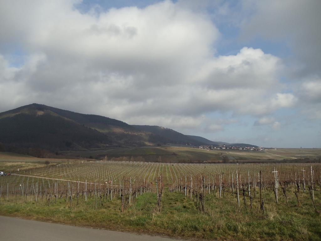 Weinhotel Kienle Burrweiler Buitenkant foto